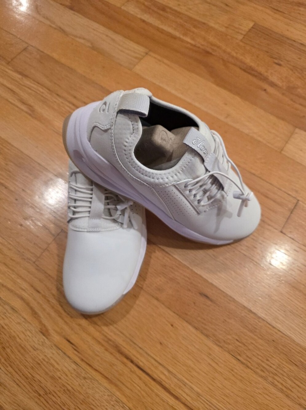 Clove Women's Sneakers